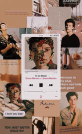 Shawn Mendes walaper