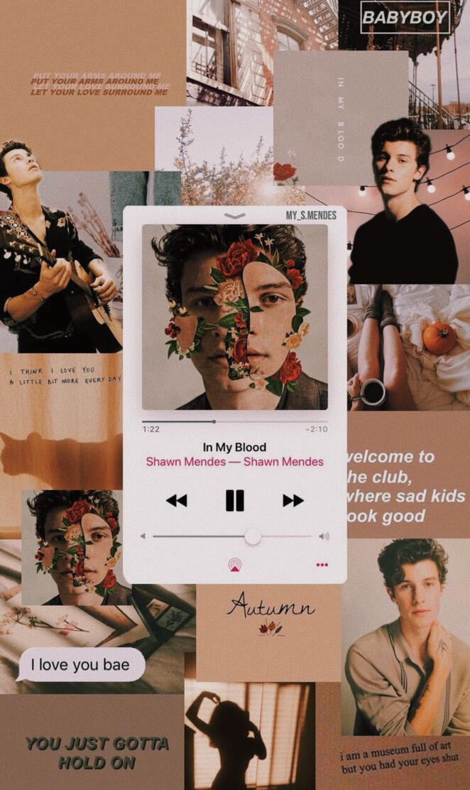 Shawn Mendes walaper