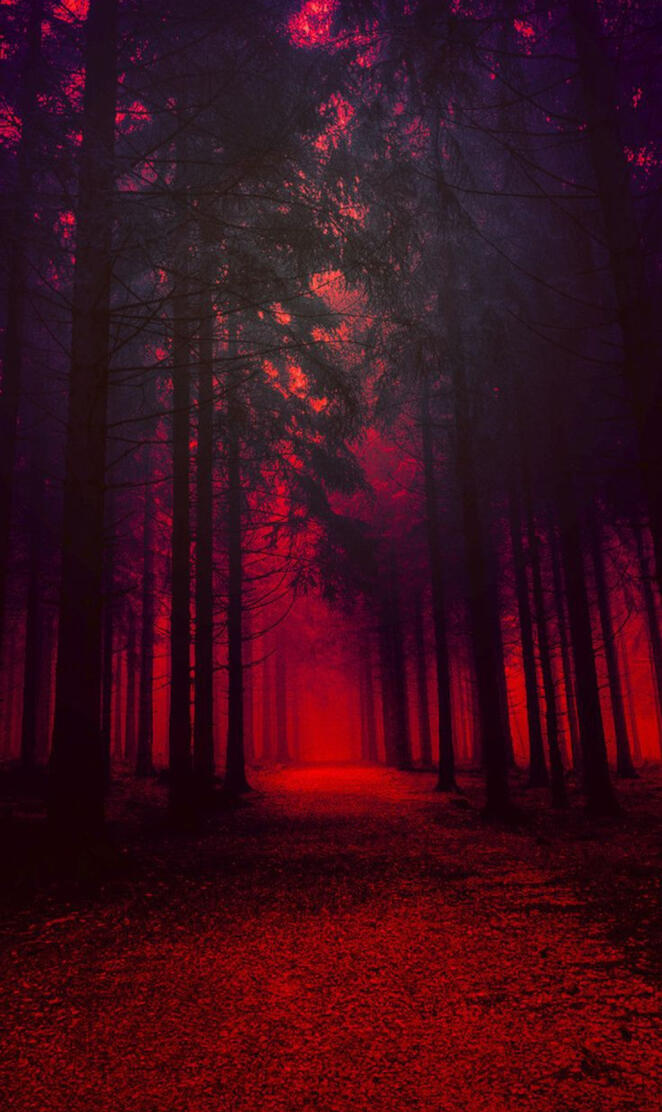 Darkness into the Wild