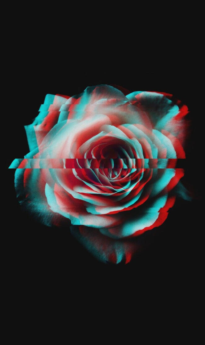 Glitch Rose