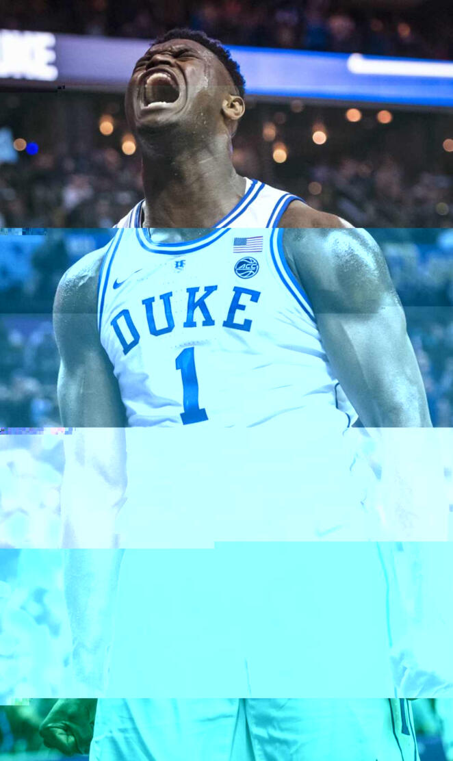 Zion Glitch Out