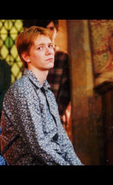 Fred weasley 