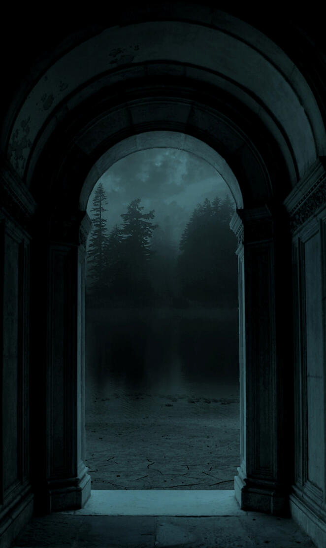 Harry Potter Phoneix