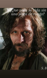 Sirius black 