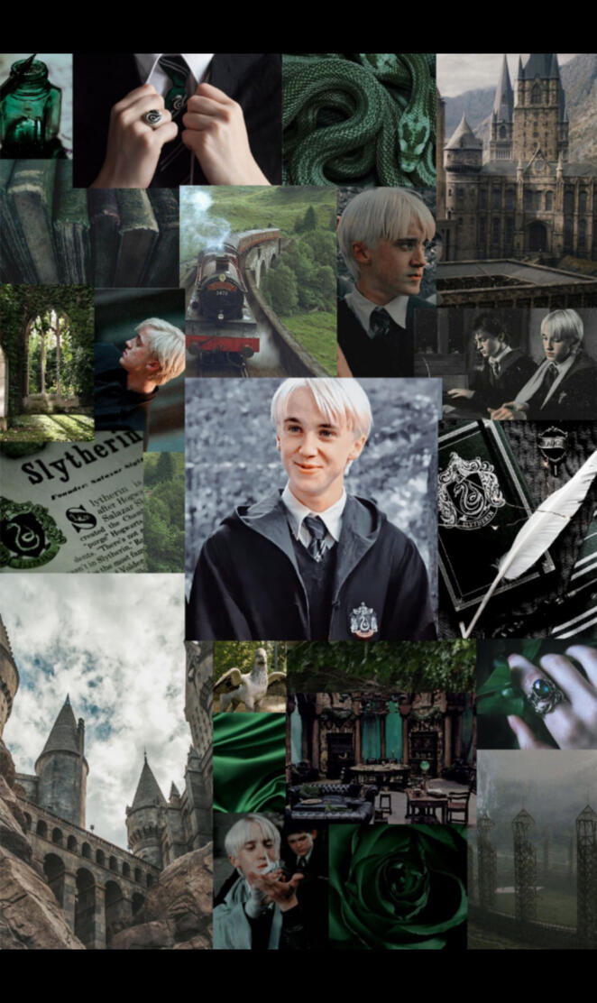 Draco Collage