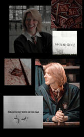 George Weasley 