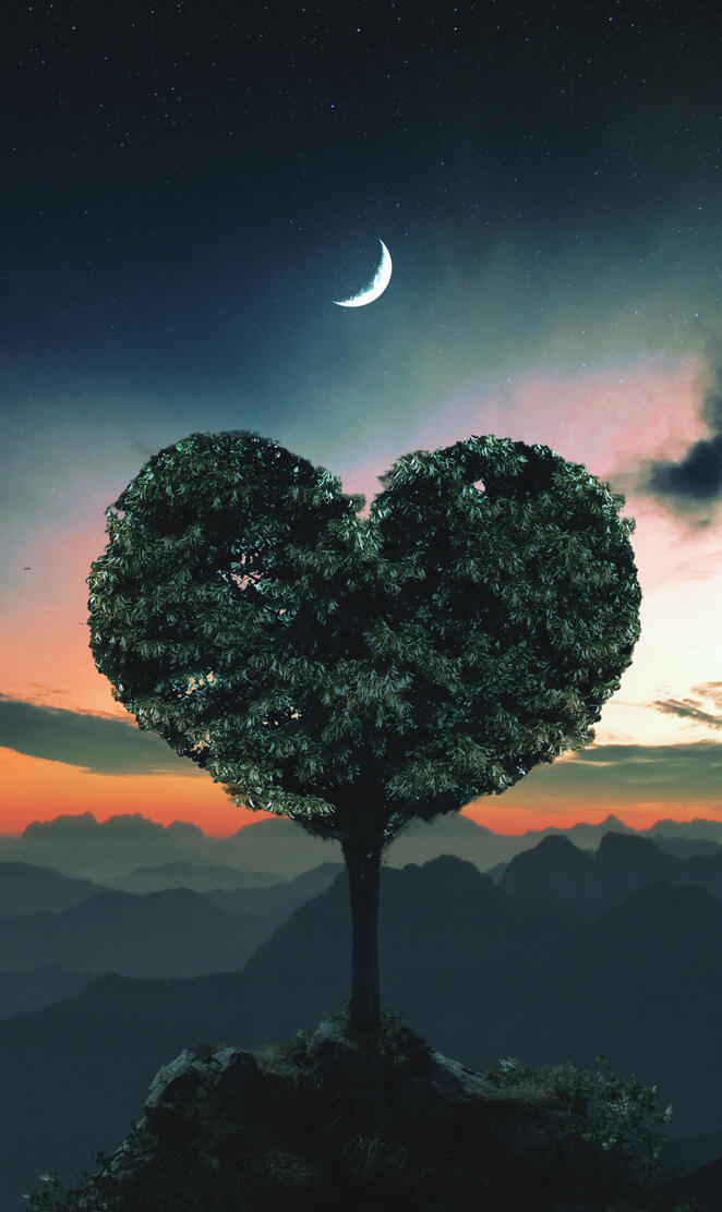 ASK AGACI  LOVE TREE