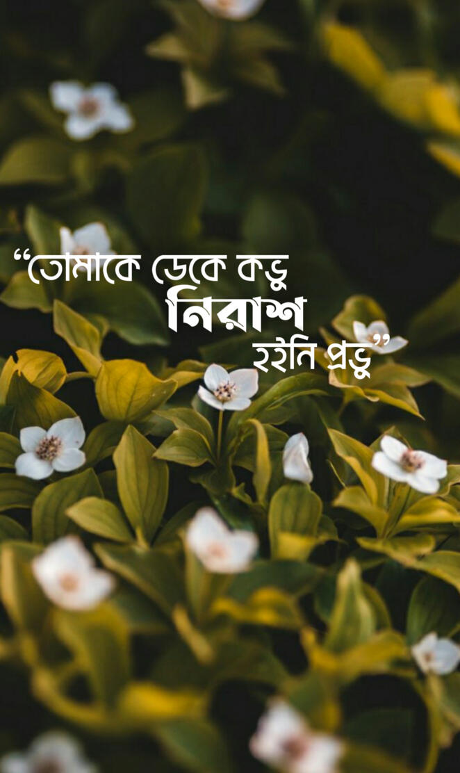  bangla typography 