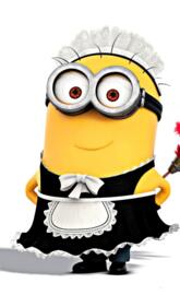 Minion mucama