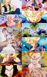 Saga Cell DBZ