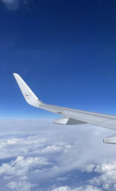 Flying high 
