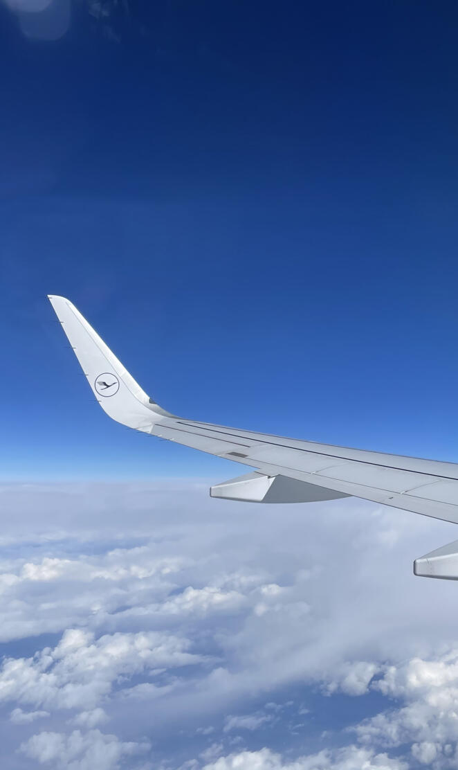 Flying high 