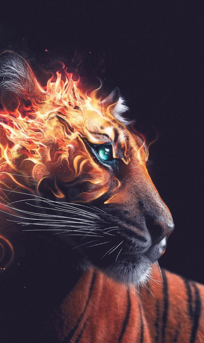 Flaming Fire Tiger