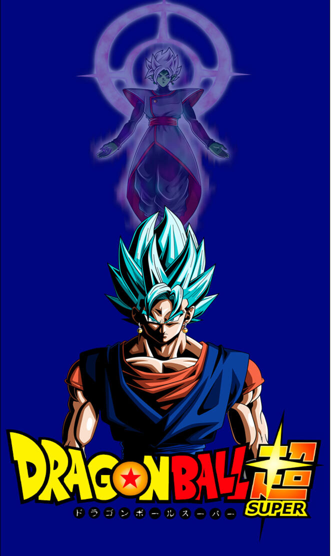 Vegito and Zamasu