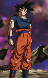 Goku damaged body
