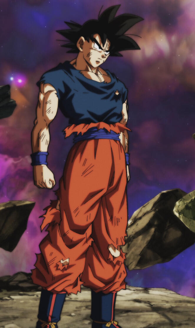 Goku damaged body