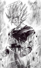 Songoku