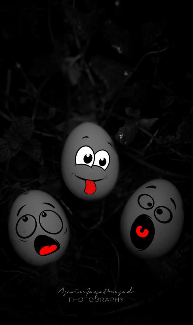 FUNNY EGGS