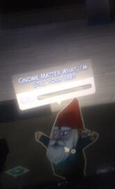 Funny Gnome