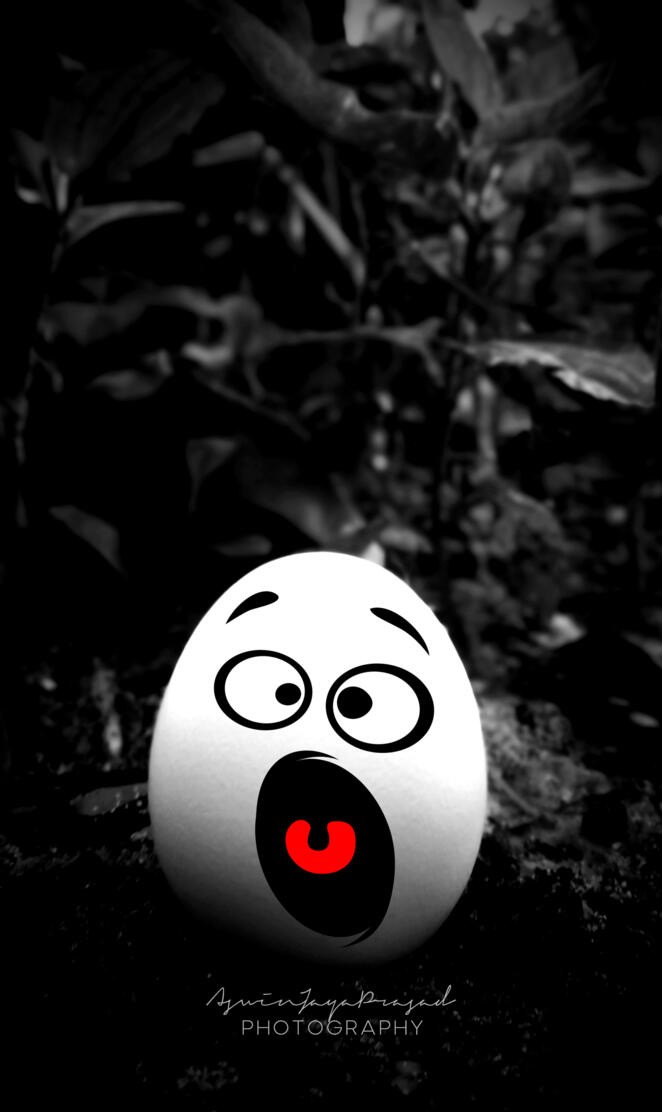 FUNNY EGG