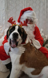 Bella and Santa-2018