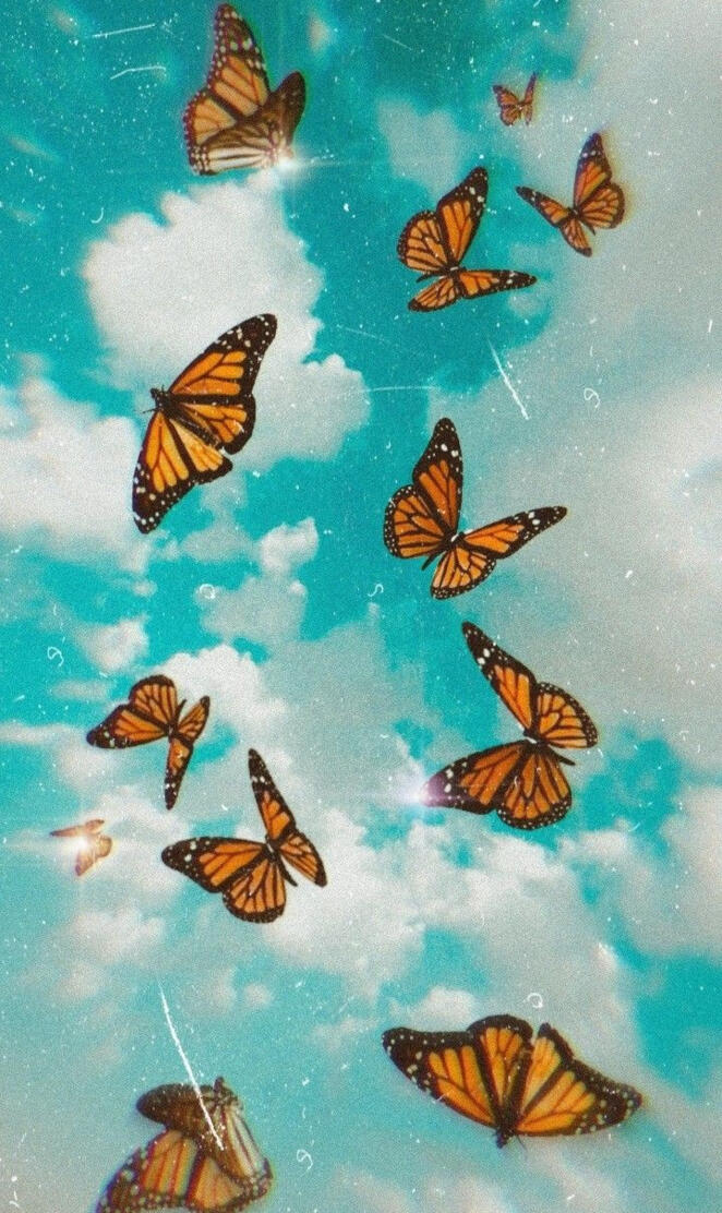 Butterfly Aesthetic