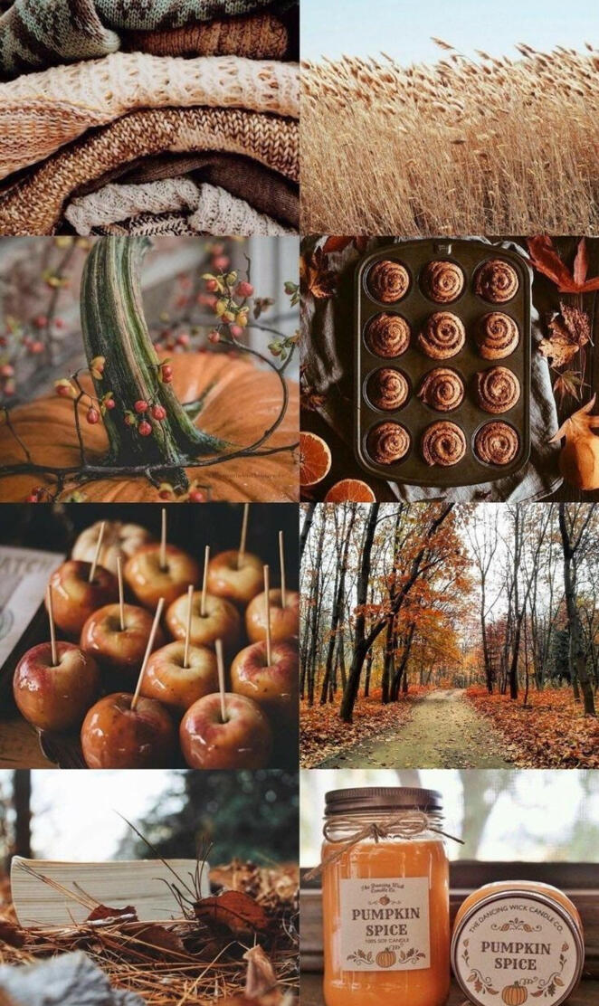 Autumn aesthetic 