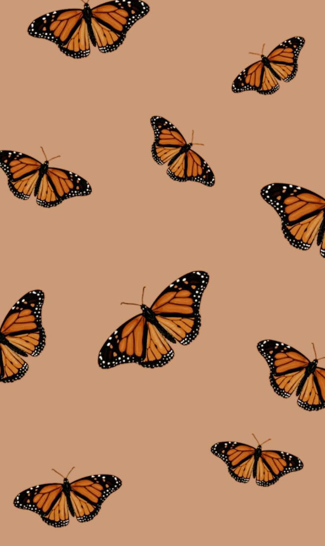 Butterfly aesthetic