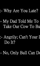 BULL COMEDY