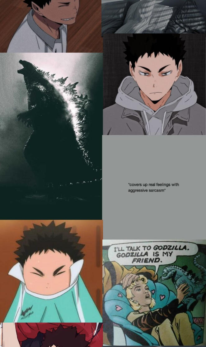 Iwaizumi aesthetic