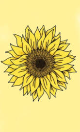 Aesthetic sunflower 