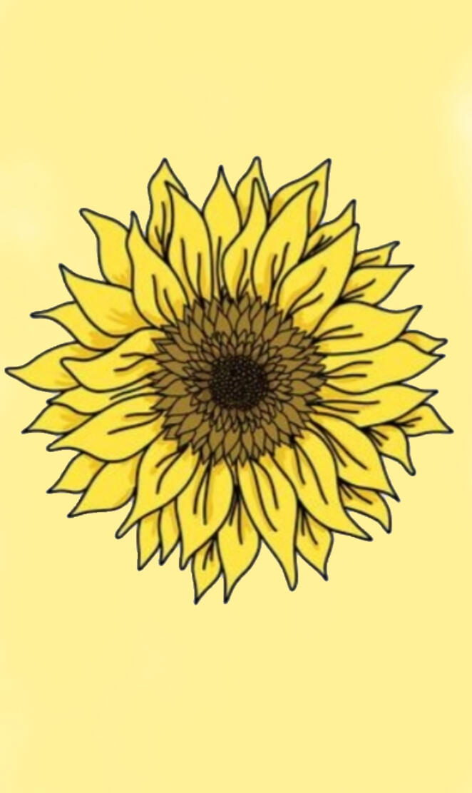 Aesthetic sunflower 