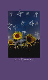 Aesthetic sunflowers