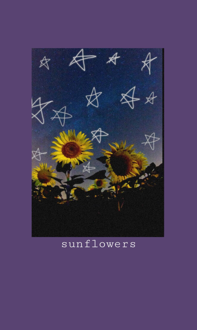 Aesthetic sunflowers
