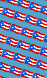 Puerto Rican flag