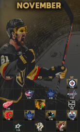 VGK 11-2019
