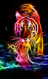 Abstract Wild Cat