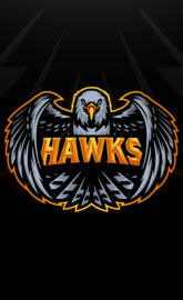 TeamHawks