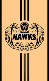 TeamHawks