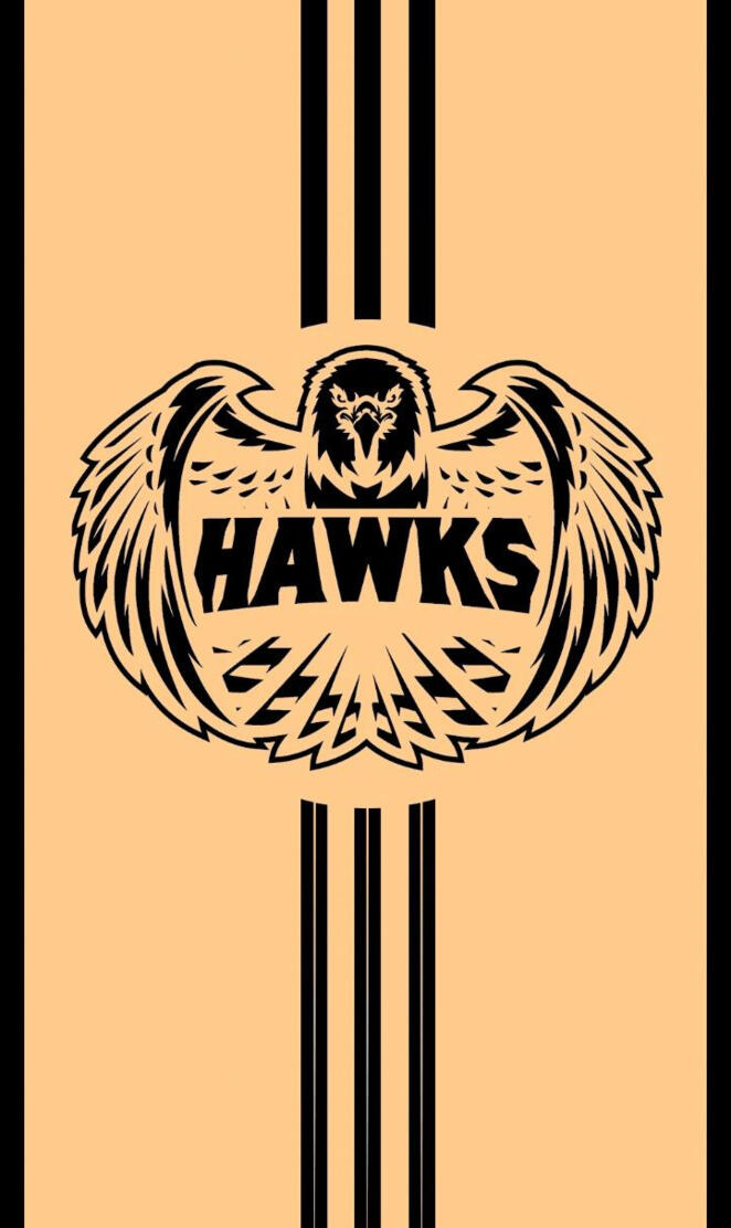 TeamHawks