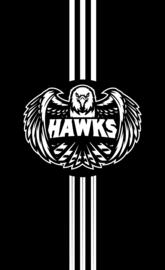 TeamHawks
