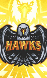 TeamHawks