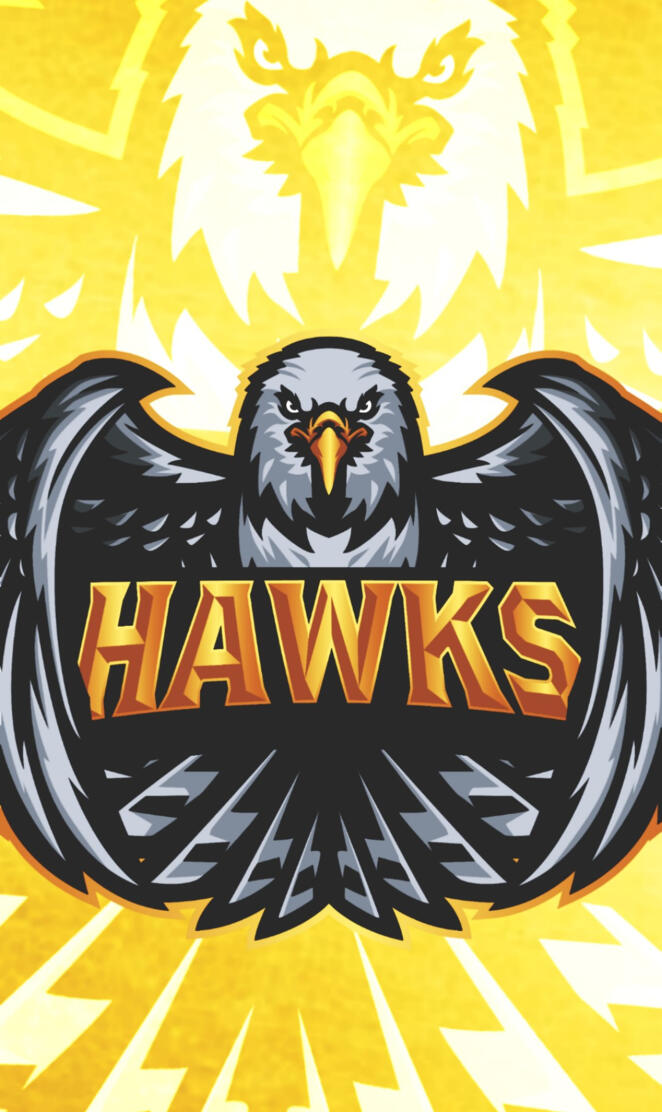 TeamHawks