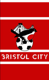 Bristol city