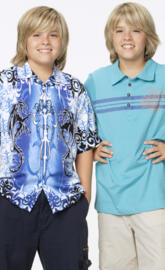 Sprouse Bros