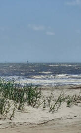 Gulf coast afternoon