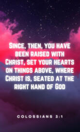 Raise a new standard