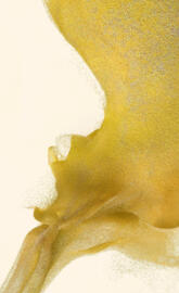 Galaxy S22 wallpaper 2