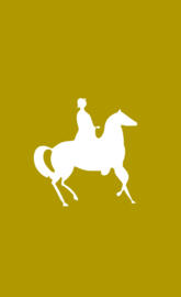 División del Norte Mex