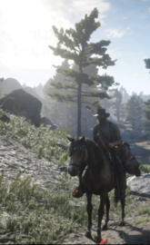 Red Dead Redemption 